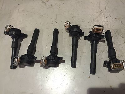 Coils.JPG